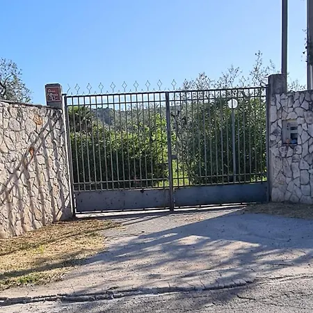 Oleandro Ciccino * Vieste